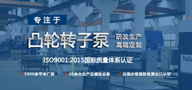 凸輪轉(zhuǎn)子泵生產(chǎn)廠家，專注于凸輪轉(zhuǎn)子泵的研發(fā)生產(chǎn)，高端定制